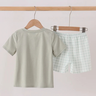 A two-piece children's outfit set hanging on a wooden rack, featuring a short-sleeve t-shirt in a light sage green on the left, and matching checkered shorts in pale green and white on the right.