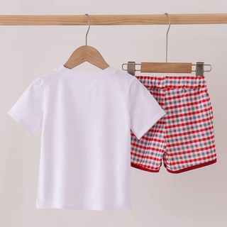 A two-piece children's outfit hanging on wooden hangers from a light wood rod. The set includes a plain white short-sleeve t-shirt and red-and-white gingham patterned shorts with a red trim.