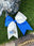 Blue/White