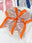 Silver/Orange